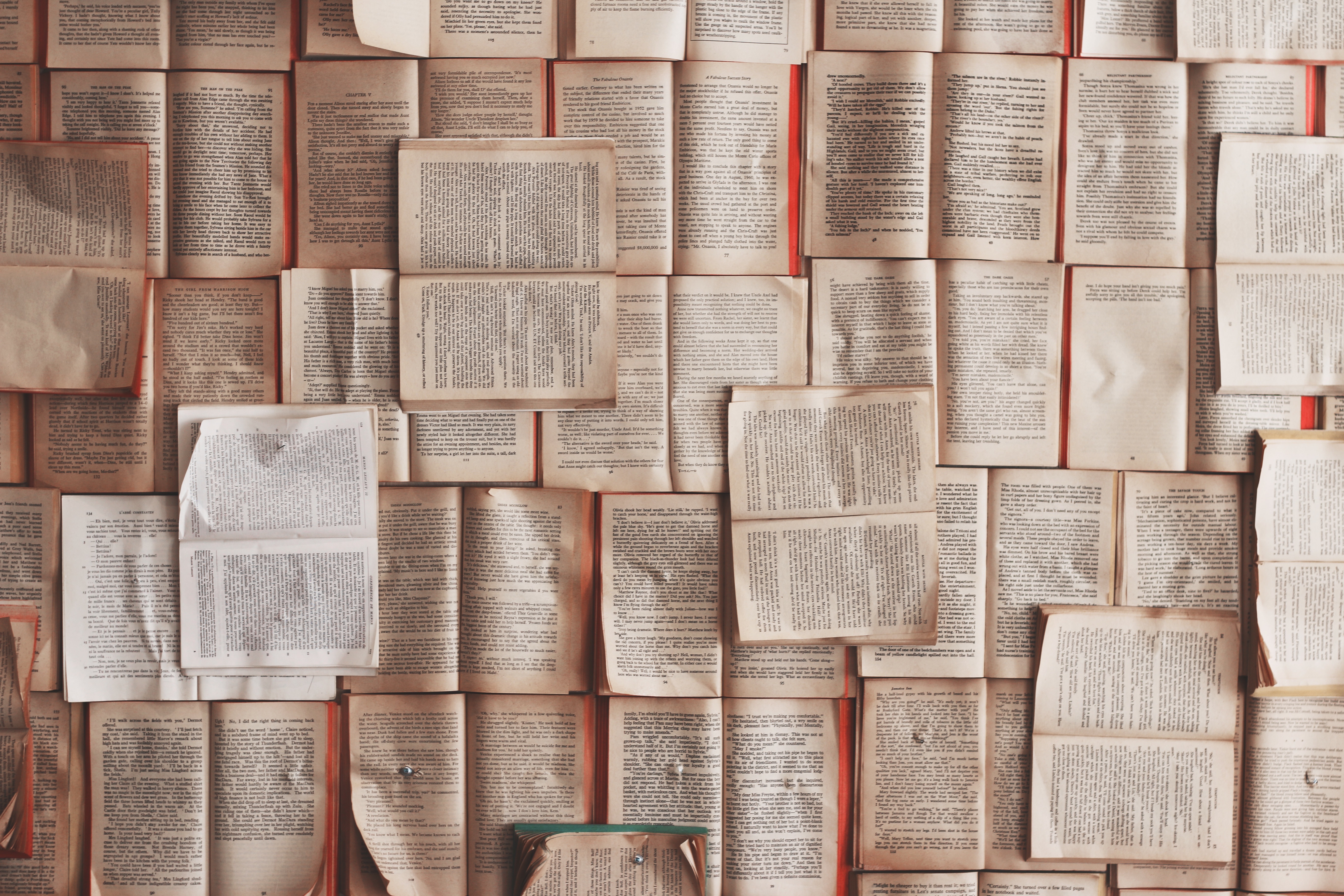 Literatur-Djungle